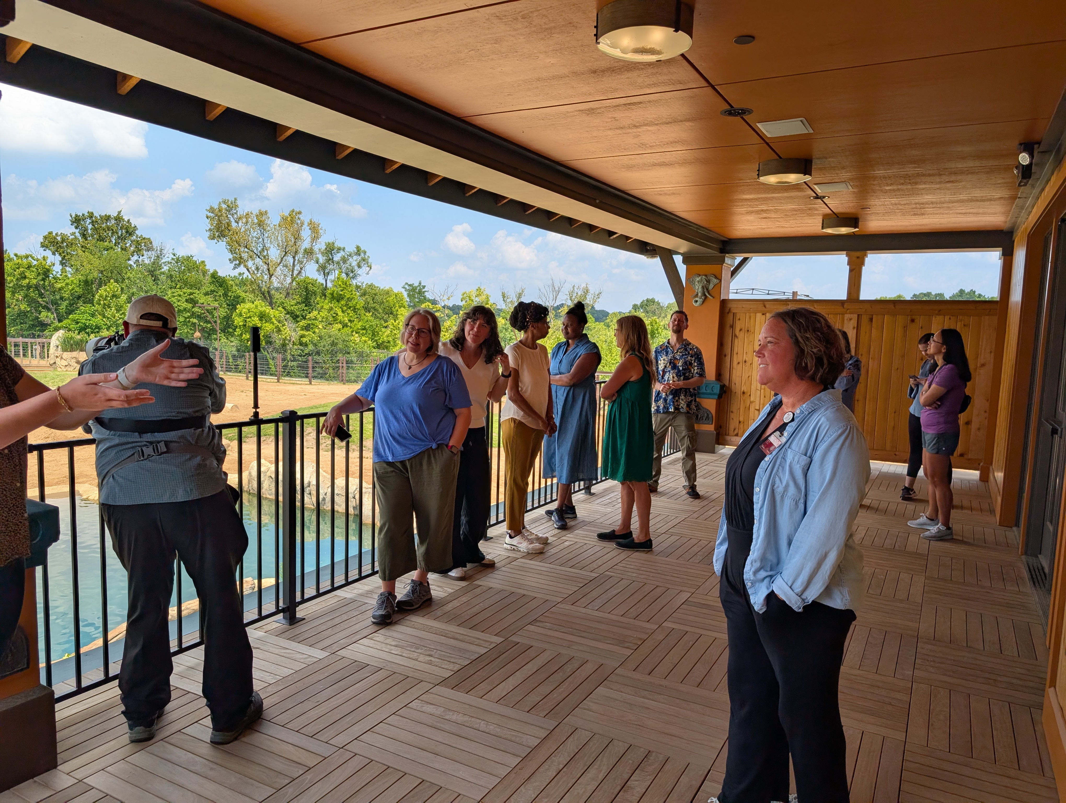 people standing on a balcony looking at scenery