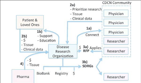 CDCNs-research-model