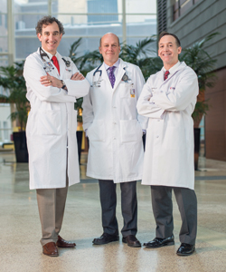 Dr. Louis, Hattemer and Feldman