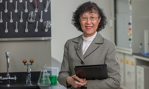 Shuk-mei Ho, PhD in Lab