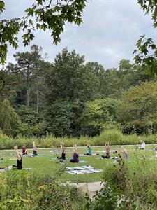 group of people seated on yoga mats performing yoga in a park surrounded by trees