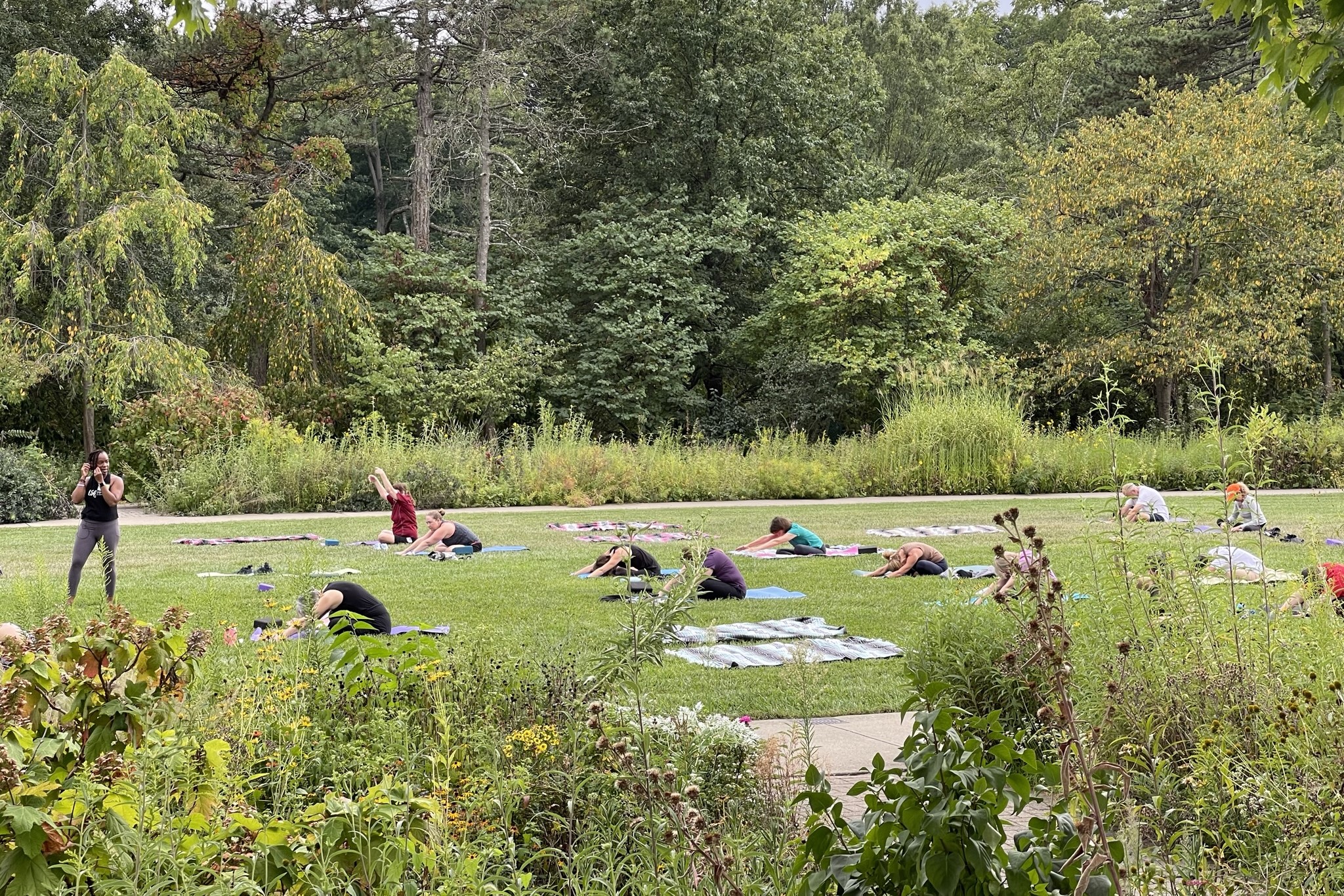 group of people practicing yoga in ault park