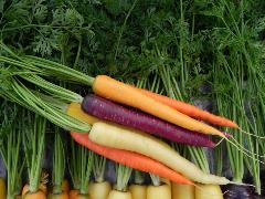 a bunch of orange and purple carrots