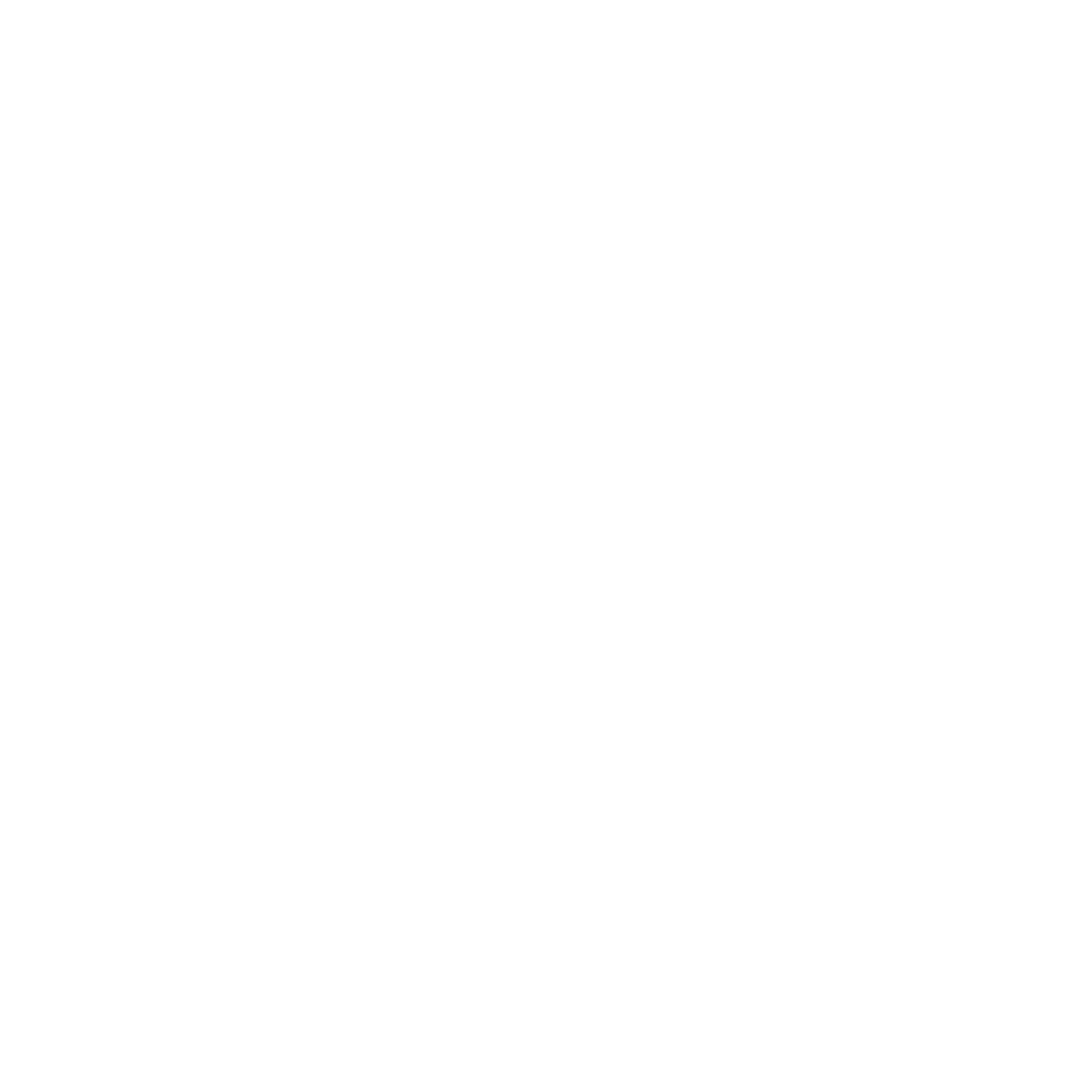 icon of an outline of a person's head with a lightbulb