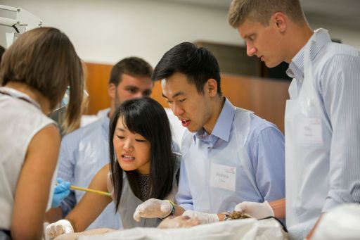 a group of students in college of medicine lab