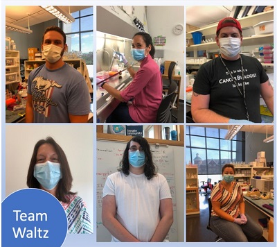 Team Waltz Masks