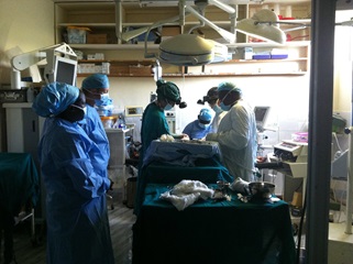 AB3151BA-38A2-4191-A1AB-FFB5B7871DDE