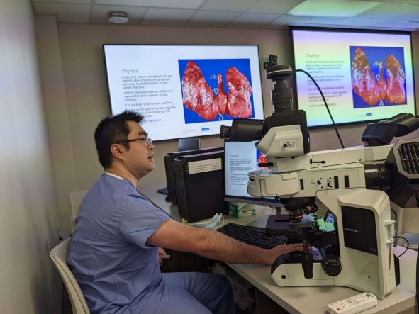 resident lead histology session