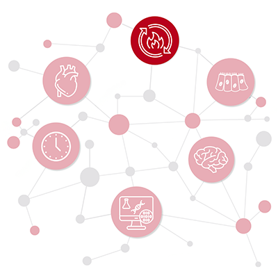 schematic of network of research disciplines with Metabolism icon emphasized