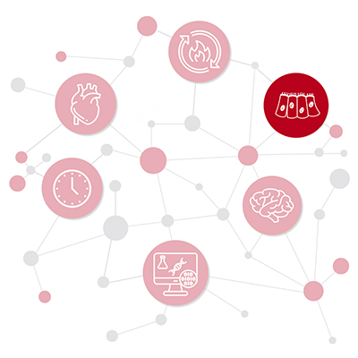 schematic of network of department research areas with Membrane Transport emphasized