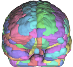 Sample brain parcellation