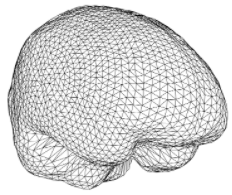 Tessellated 3D mesh of brain